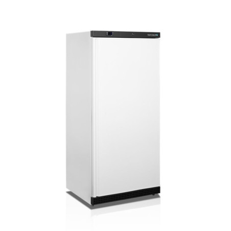 Armoire Réfrigérée Positive Blanc - 420L TEFCOLD : Conservation optimale des aliments dans un espace élégant