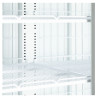 Vertical Black Freezer Showcase - 702 L | TEFCOLD | Ideal for professional catering | Energy saving, glass doors