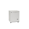 Medical freezer full white lid - 152 L TEFCOLD: performance and practicality for kitchen professionals