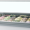 Ventilated Ice Display Case with Curved Front - TEFCOLD