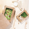 Boîtes Salade PET 700 ml - Fenêtre - Lot 200 Profitez Fiesta Recyclable