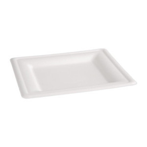 Compostable square plates made of bagasse 204mm - Pack of 50, eco-friendly and recyclable.