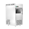 Ice Machine Grains 85 Kg Dynasteel - Optimal power, maximum storage