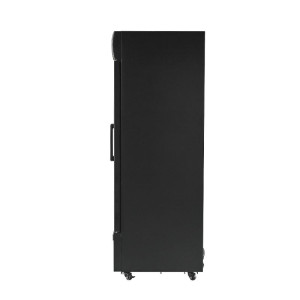Beverage Display 736 L 2 Glass Doors 2-8 °C R290