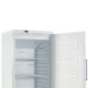 White Ventilated Freezer Cabinet - 600 L - Dynasteel