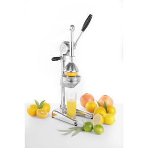 Lever Citrus Juicer