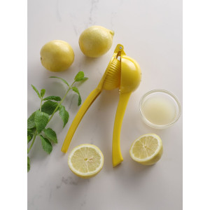 Manual Citrus Juicer for Lemons