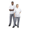 Pantalon de Cuisine Mixte Vegas à Petits Carreaux Bleus et Blancs - Taille S - Whites Chefs Clothing - Fourniresto