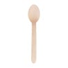 Biodegradable Wooden Dessert Spoon 166mm - Pack of 100 - Fiesta Green - Fourniresto