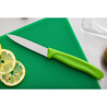 Green Serrated Blade 8 cm Paring Knife - Victorinox - Fourniresto