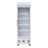 White Positive Refrigerated Display Case Series G - 336 L - Polar - Fourniresto