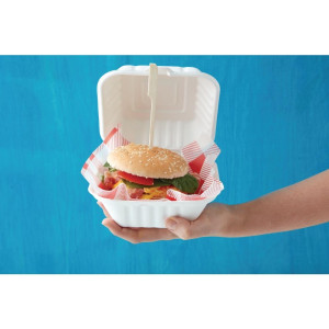 Compostable Hamburger Boxes - L 149 mm - Pack of 500 - Fiesta Green