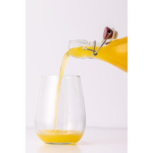 Mechanical Closure Bottle - 250ml - FourniResto