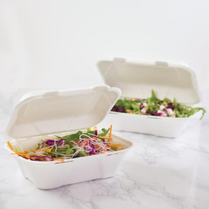 Meal Boxes in Bagasse with Hinged Lid - L 228mm - Pack of 200 - Vegware