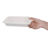 Compostable bagasse trays 680 ml - Pack of 50, superior quality