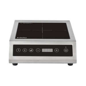 Touch Control Induction - Pujadas