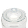 Biscuit Jar - 3.8 L Dynasteel: Preserve and present your biscuits with elegance