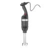 Mixeur Plongeur Pied Mélangeur de 250 mm - HENDI