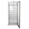 Freezer Cabinet 590 L Ventilated Cold -18/-22°C