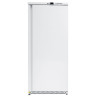 Armoire 570 Litres - Θετικό - Réf NMA600TN