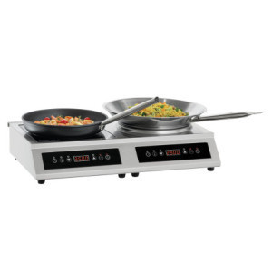Πλάκα και Επαγωγικό Wok - 7000 W