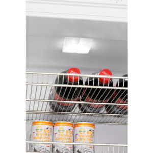 White Positive Refrigerated Cabinet - 270 L