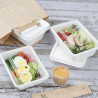 Barquettes Alimentaires en Bagasse Fiesta Compostable 500ml - Lot de 100 - Gastronoble