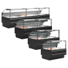 Premium Fresh Fish Service Display - 320 W