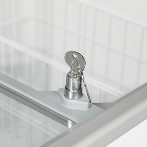 Ice Cream Freezer - 191 L - TEFCOLD