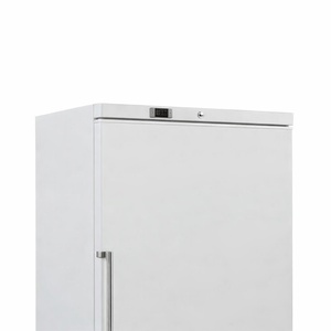 Armoire de Congélation Blanche Ventilée - 600 L - Reconditionnée