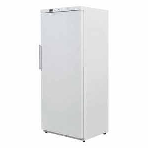 Armoire de Congélation Blanche Ventilée - 600 L - Reconditionnée