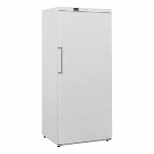 White Ventilated Freezer Cabinet - 600 L - Refurbished