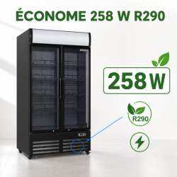 Beverage Display 736 L 2 Glass Doors 2-8 °C R290