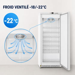 Καταψύκτης 590 L με Αερόψυξη -18/-22°C