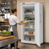 Armoire Réfrigérée Ventilée 527 L +2/+8 °C — Porte Pleine