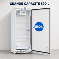 Θετική Ψυγείο Ντουλάπα 590 L 0/+8°C Πλήρης Πόρτα