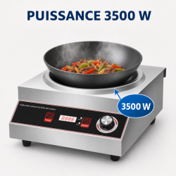 Wok à Induction Pro 3500 W Inox — Ζώνη Κοίλη Ø227
