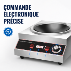 Wok à Induction Pro 3500 W Inox — Ζώνη Κοίλη Ø227