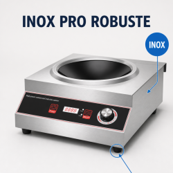 Wok à Induction Pro 3500 W Inox — Ζώνη Κοίλη Ø227