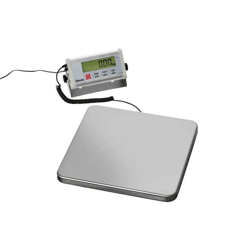 Professional wall-mounted electronic scale