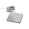 Professional wall-mounted electronic scale