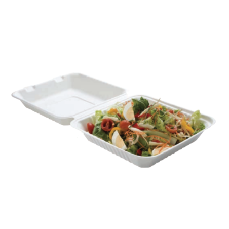 Lunch Box Bagasse 1 Compartment - Pack of 50