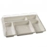 5-Compartment Pulp Tray - 320 x 230 mm - Pack of 25