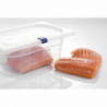 Gastronorm lid GN 1/4 in Polypropylene
