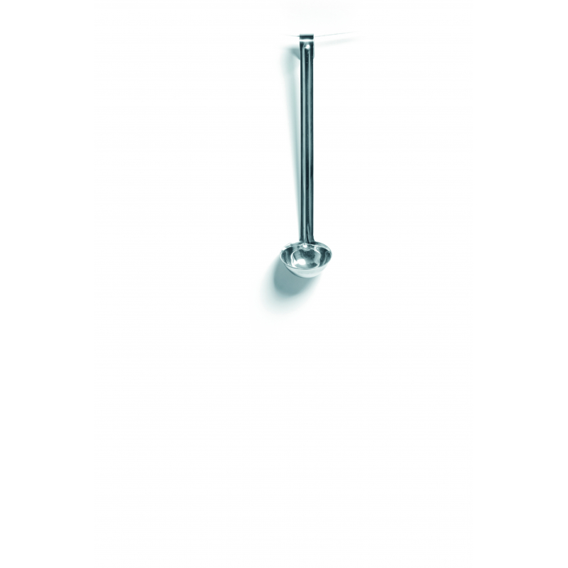 Stainless Steel Ladle - 100 mm Diameter