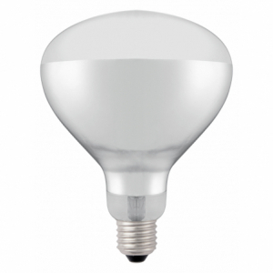 Bulb for infrared heat lamp - Brand HENDI - Fourniresto