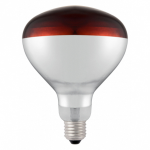 Bulb for infrared heat lamp