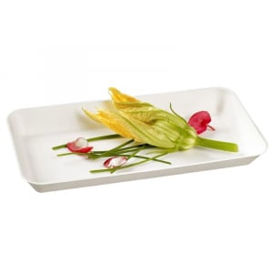 White Canopy Plate - 200 x 100 mm - Pack of 50