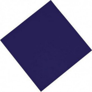 Serviette de Table en Papier Bleue 2 Plis 300 x 300 mm - Lot de 1500 - FourniResto - Fourniresto