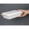 Hinged Bagasse Compostable Trays - L 248mm - Pack of 250 - Fiesta Green